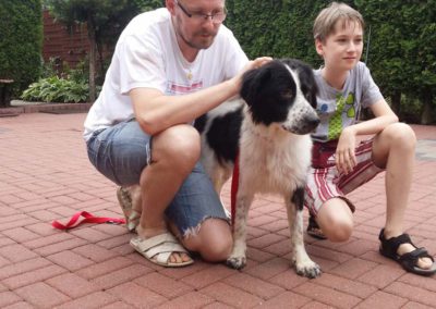 strzyżenie i pielęgnacja psów, kursy gromerskie-pupil-konin (16)